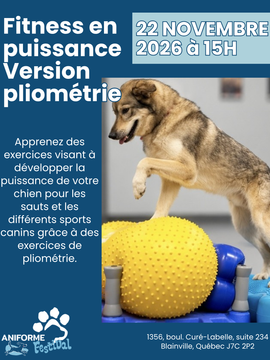 Fitness en puissance : version pliométrie - 22 novembre 2026