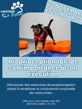 Proprioception 101 : de son importance à son exécution - 22 novembre 2026