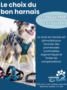 Le choix du bon harnais pour votre chien - 25 novembre 2026