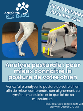 Analyse posturale : pour mieux connaître la posture de votre chien - 28 novembre 2026