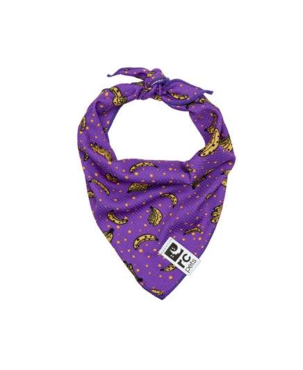 Insert De Refroidissement Secret Foulards – Neuf Avec Étiquettes, Accessoire Rafraîchissant