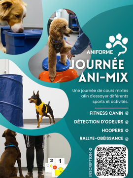 25 janvier 2026 - Journée ANI-MIX