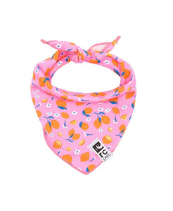 RC Pets - Foulard de refroidissement