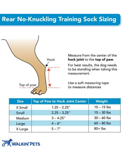 WALKIN'PETS - Toe Up (Rear No-Knuckling Training Sock)