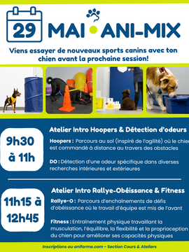 Atelier ANI-MIX 29 mai 2026