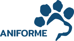 ANIFORME