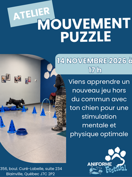 Initiation au mouvement puzzle - 14 novembre 2026