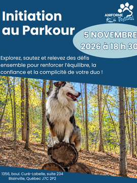 Parkour urbain canin - 5 novembre 2026