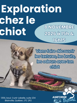 Exploration et socialisation pour les chiots - 8 novembre 2026