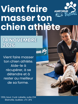 Massage pour athlètes canins - 14 novembre 2026