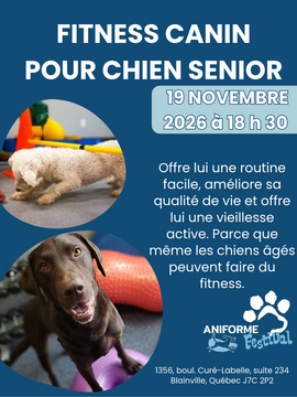 Fitness pour chiens séniors - 19 novembre 2026
