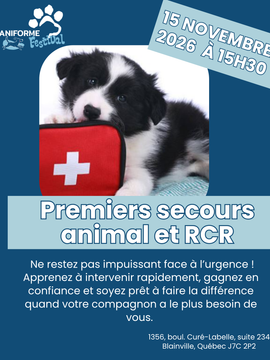 Premiers soins et RCR pour animaux niveau intermédiaire - 15 novembre 2026