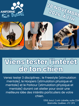 Ani-mix: viens tester l'intérêt sportif de ton chien - 28 novembre 2026