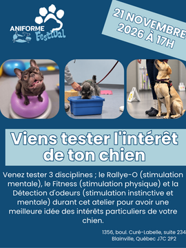 Ani-mix: viens tester l'intérêt sportif de ton chien - 21 novembre 2026