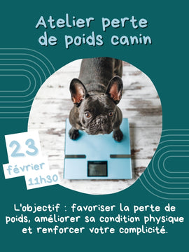 23 février - Atelier Perte de poids