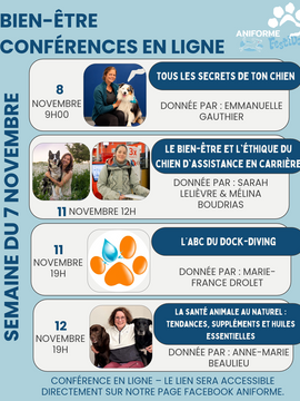 Conférences du 8 au 14 novembre 2026