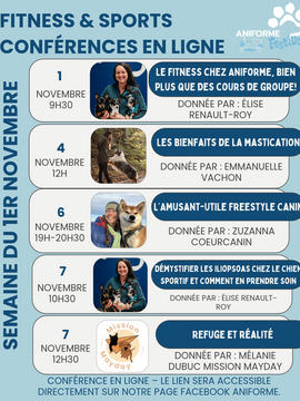 Conférences du 1er au 7 novembre 2026