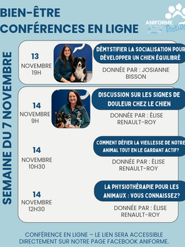Conférences du 8 au 14 novembre 2026
