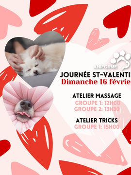 16 février - Journée spéciale St-Valentin