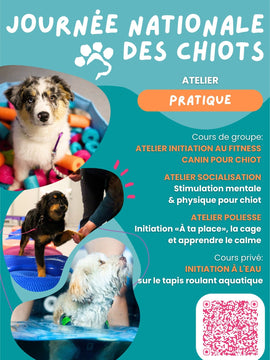 28 mars 2026 - Atelier Journée nationale des chiots