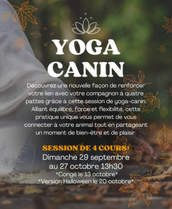 SESSION YOGA CANIN