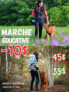 Marche éducative (Groupe)