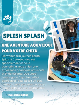 Plusieurs dates - Journée SPLISH SPLASH