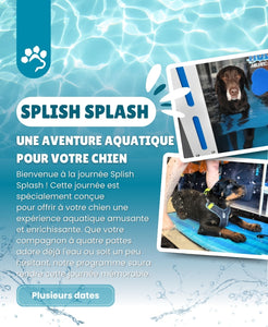 Plusieurs dates - Journée SPLISH SPLASH